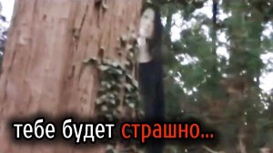 Новая жуткая подборка Самых Страшных Видео в Мире | Самые Ужасные Видео со Всего Мира #1