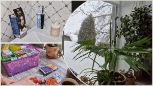 Чудесный день. Хоть стой хоть падай. Посеяла помидоры. Оценила её по достоинствам