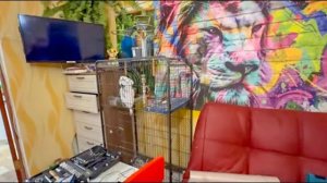 УРА! Завтра приезжает Кира, а мы УСКОРЯЕМСЯ с РЕМОНТОМ)))