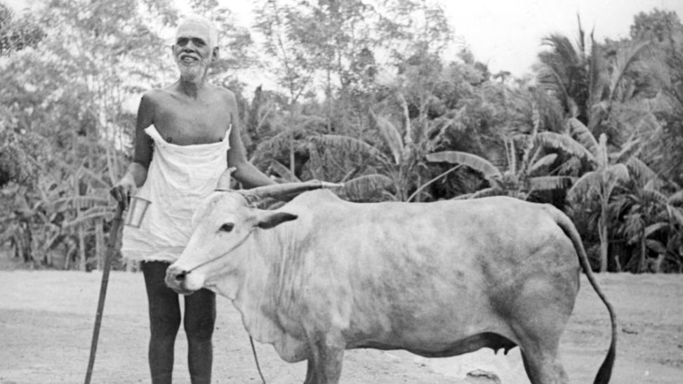 Рамана Махарши - Самоисследование. Девид Годман.