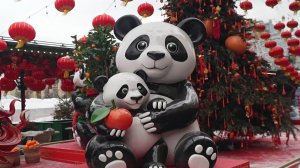 В столице стартовал фестиваль "Китайский новый год в Москве".