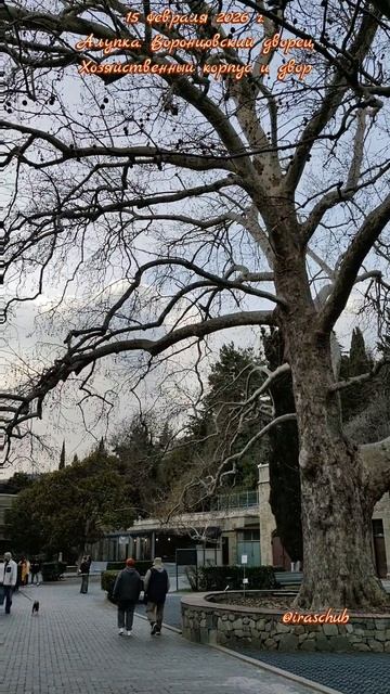 15 февраля 2026 г. Алупка. Воронцовский дворец. Хозяйственный корпус и двор #ялта #ялта2026 #алупка