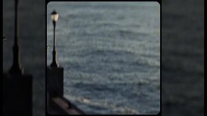 Волк с Уолл-стрит.