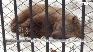 Температурные качели ждут красноярцев на неделе