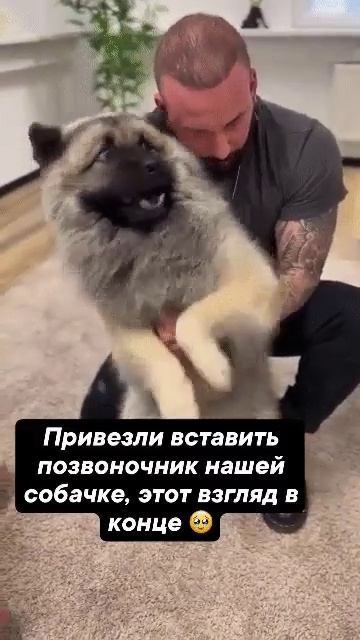 Добрый доктор Айболит.😃👍 смотреть онлайн