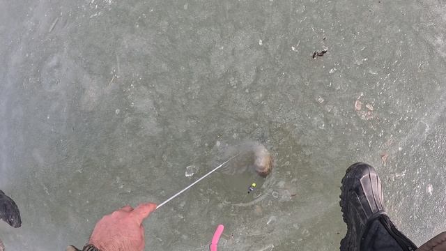 рыбалка по форели смотреть онлайн