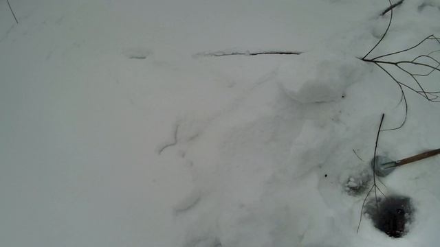 ловля налима смотреть онлайн