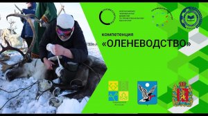 Профессионалы - 2026 Таймырский колледж