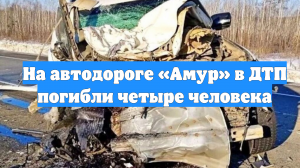 На автодороге «Амур» в ДТП погибли четыре человека