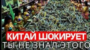 ВЫ ДОЛЖНЫ ЭТО ВИДЕТЬ! Редкие СТРАННЫЕ ВЕЩИ в КИТАЕ, снятые на КАМЕРУ!