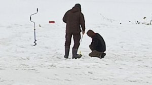 VID_20260216_110600_936