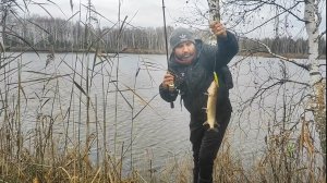 Рыбалка на щуку на торфяном карьере в начале ноября.