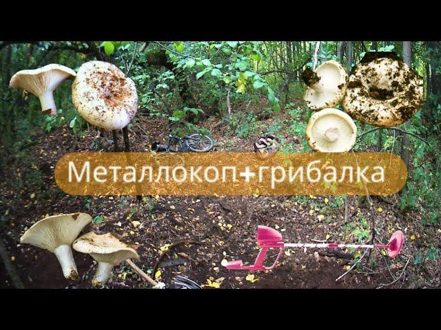 ✔Металлокоп⛏ в лесу + ГРИБЫ. ПОИСК КЛАДА на заброшенном хуторе✔