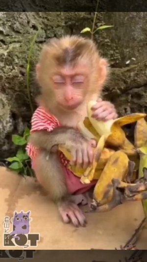 Проснулись?