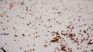 Уход на профилактику (Удмуртия HD (Ижевск), 16.02.2026)