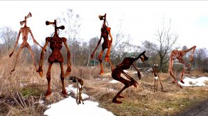 Дамик и Папа нашли базу сереноголовых.