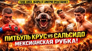 ПИТБУЛЬ СОРВАЛСЯ С ЦЕПИ! Обзор титульного боя Исаак Крус -Омар Сальсидо