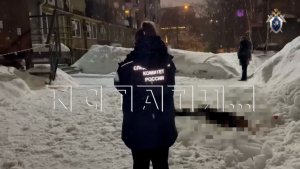 Новая жертва нечищеного снега с крыш — глыба убила 19‑летнюю девушку на улице Варварской