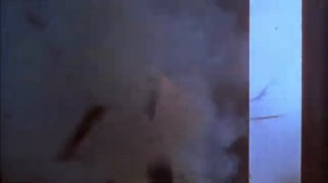 Официальный трейлер "Плохие парни / Bulletproof Hearts (1995)"