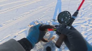 ЗА ПАРУ ЧАСОВ, ДВА КУЛЯ ГОРБАТЫХ 44 РАЗМЕРА.