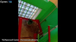 Быстрые новости 16 02 2026