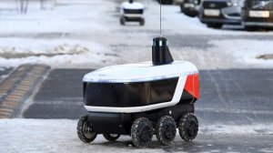 В СФ предложили провести эксперимент по регулированию работы роботов-курьеров
