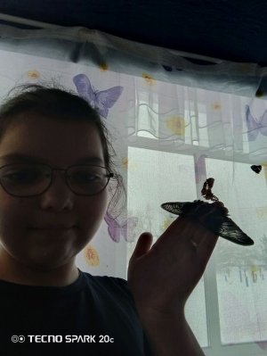 делаю уроки заходи кого  пригласить в группу в Макс в мою!?