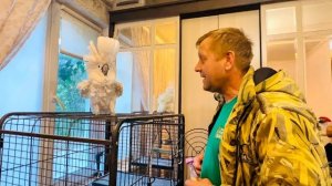 КЛАССНО! Мы едем в Москву где нас ждет ПОДРУЖКА для Жорика!!!!