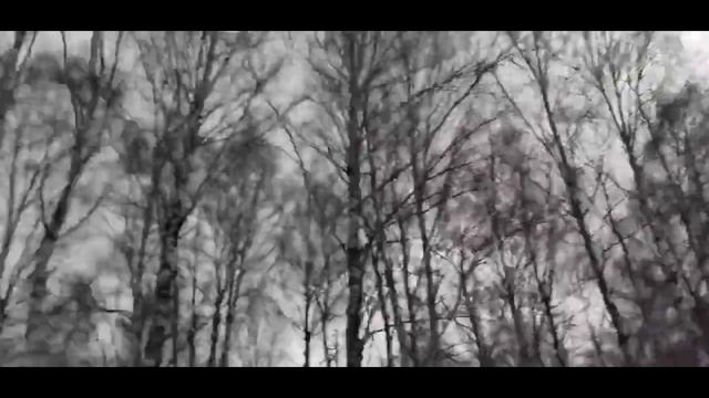 похищенный для леса ЧАСТЬ 31