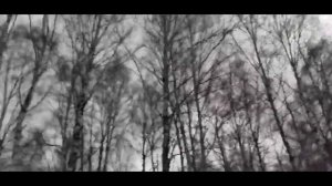 похищенный для леса ЧАСТЬ 31