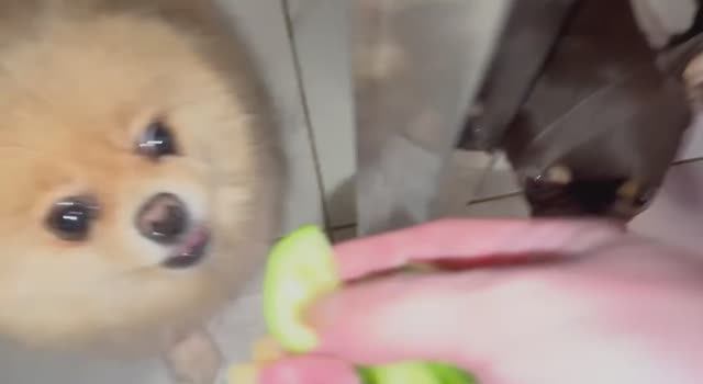 Похрустели зеленушкой, да так, что хруст на весь дом.