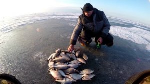 Рыболовный экстрим. Встречи.  Маныч 2026 год. от Юрия Философа