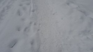 Влог-болталка . Про телеграм, макс , мои группы и мои решения!