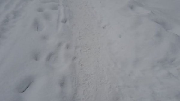 Влог-болталка . Про телеграм, макс , мои группы и мои решения!