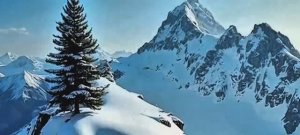 Не люби меня