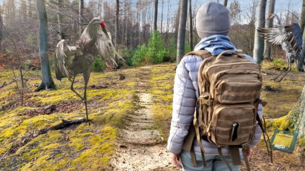 1 ДЕНЬ В ЛЕСУ - С ПАЙКОМ АРМИИ НОРВЕГИИ