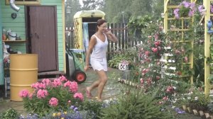 6 соток 17 июля 2021 года. Хроника.