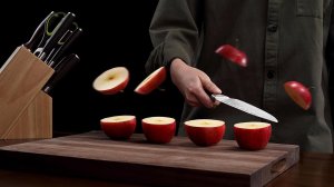 PAUDIN N1 Universal Classic