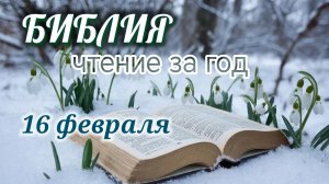 Библия - чтение за год, 16 февраля. Ежедневное чтение Библии.