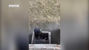 «АПАРТАМЕНТЫ ДЛЯ БЕЗДОМНЫХ»