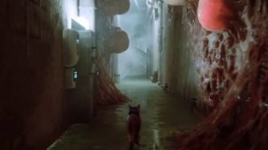 Я очень надеюсь, что у нас будет ещё одна игра во вселенной Stray.