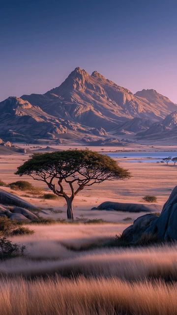 Тёплый вечер