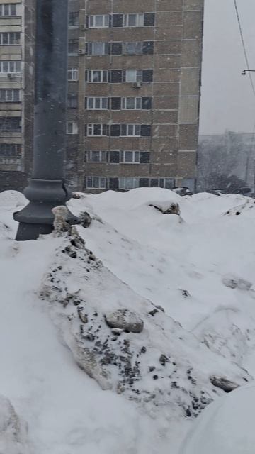 16.02.26 ветер и снегопад смотреть онлайн