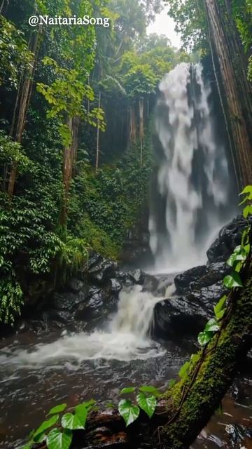 "Весна -Красна"