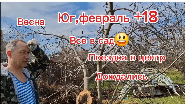 16-02-2026 Из Сибири на юг/Жизнь на юге/Поездка в центр/Бегом в сад/Обрезка/Обработка/Выходные/