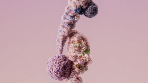 установка аквариума для рыбок