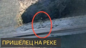 Предполагаемый инопланетянин пойман на прогулке по реке в Боливии