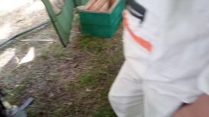 на откачке меда