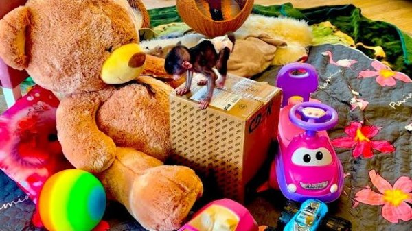 Николь распаковывает свою первую посылку! СТАРАЕТСЯ РЕБЕНОК😘