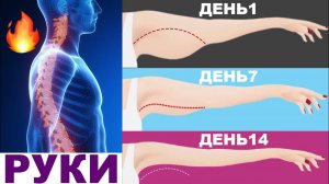 Руки в тонусе за 14 дней. 8-минутная тренировка для начинающих.